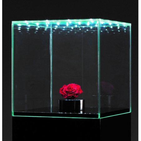 Vitrine en verre LED intégré