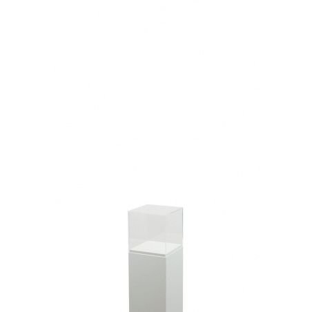 Vitrine cloche plexi