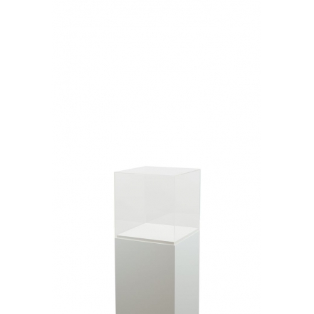 Vitrine cloche plexi