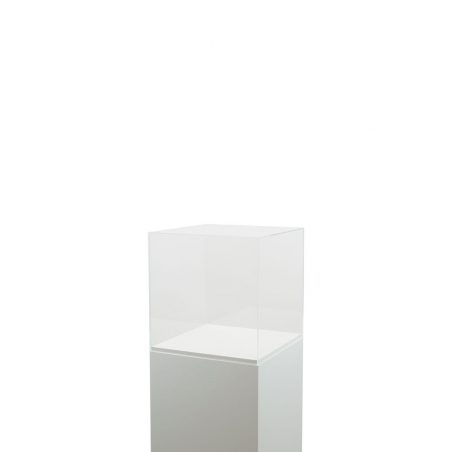 Vitrine cloche plexi