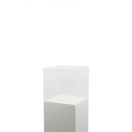 Vitrine cloche plexi