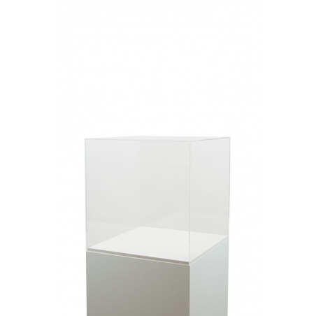 Vitrine cloche plexi