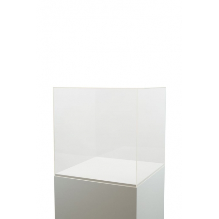 Vitrine cloche plexi