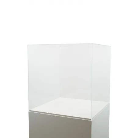 Vitrine cloche plexi
