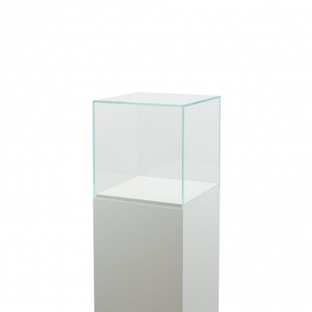 Vitrine cloche en verre