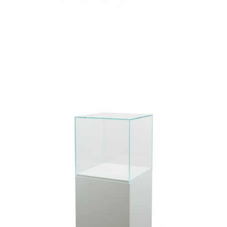 Vitrine Cloche Verre