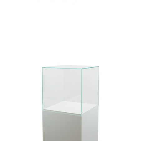 Vitrine cloche en verre Vitrine cloche en verre