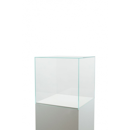 Vitrine Cloche Verre