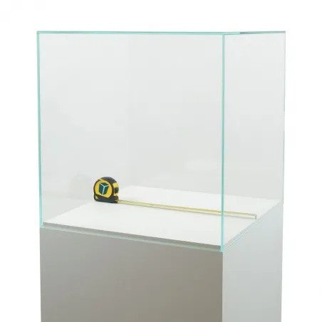 Vitrine cloche en verre