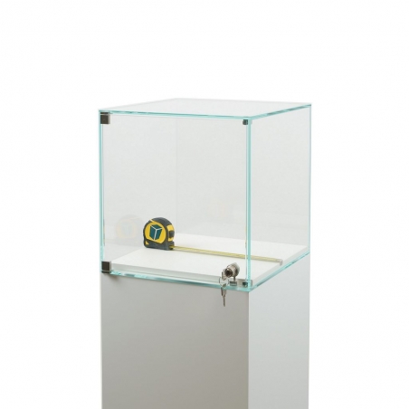 Vitrine cloche avec porte