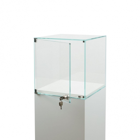 Vitrine cloche avec porte