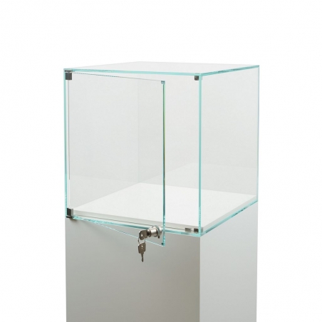 Vitrine cloche avec porte