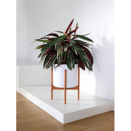 Socle MDF blanc satiné | Colonne blanc décorative | Pilier blanc