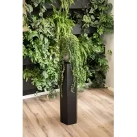 Hexagone socle, noir, 30 x 100 cm
