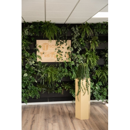 Hexagone socle, coloré, sur mesure