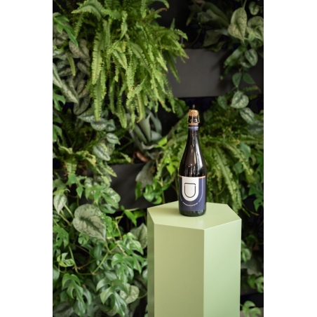 Hexagone socle, coloré, 40 x 100 cm