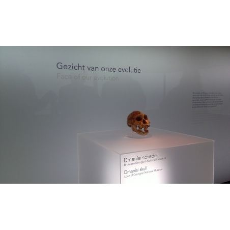 Socle plexiglas