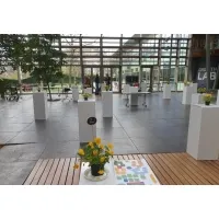 Socle d&rsquo;exposition carton