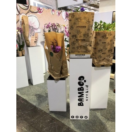 Socle d&rsquo;exposition carton