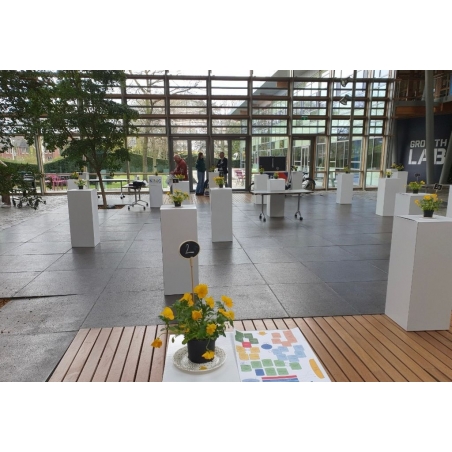 Socle d&rsquo;exposition carton