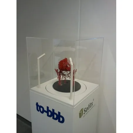 Socle d&rsquo;exposition rotatif