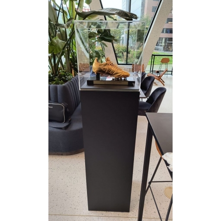 Vitrine cloche plexi