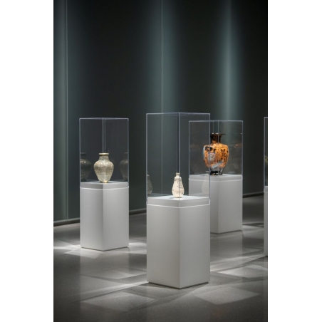 Vitrine cloche plexi