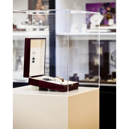 Vitrine cloche plexi