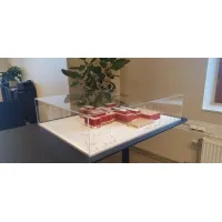 Vitrine cloche plexi