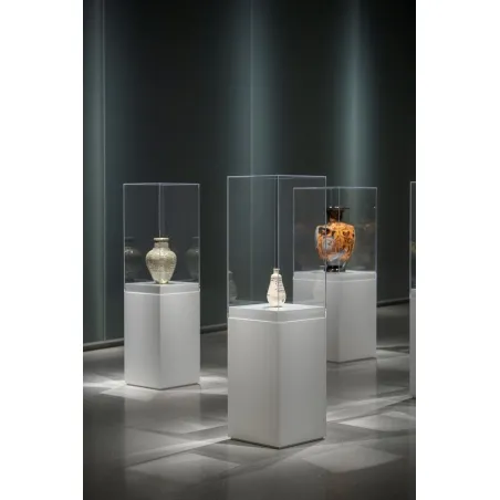 Vitrine cloche plexi