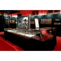 Vitrine cloche plexi