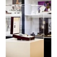 Vitrine cloche plexi