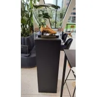 Vitrine cloche plexi