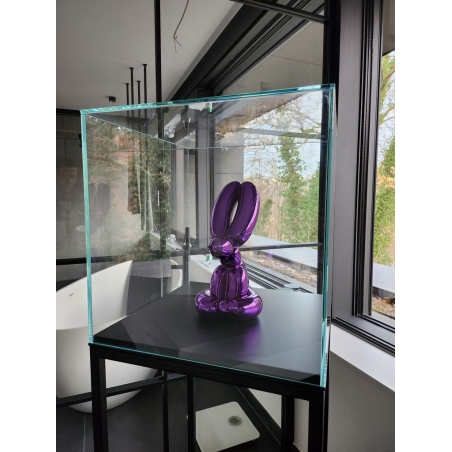 Vitrine cloche en verre Vitrine cloche en verre