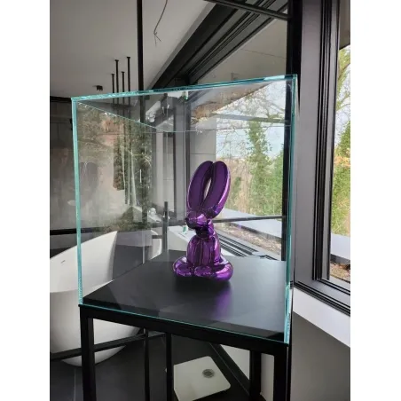 Vitrine cloche en verre