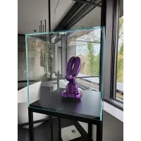 Vitrine cloche en verre