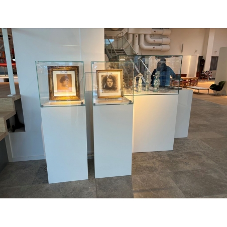Vitrine cloche avec porte