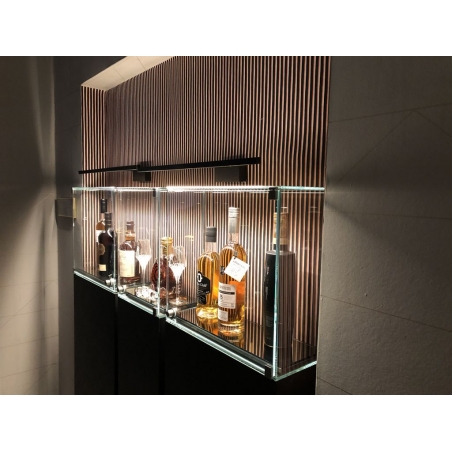 Vitrine cloche avec porte