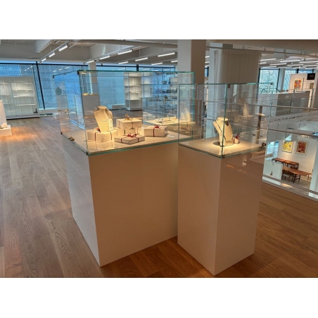 Vitrine cloche avec porte