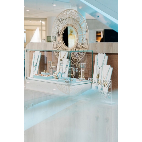 Vitrine cloche avec porte
