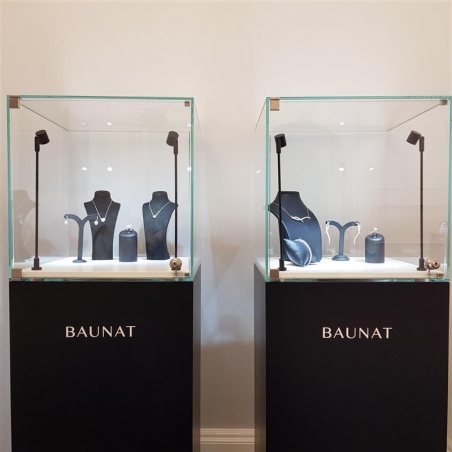 Vitrine cloche avec porte