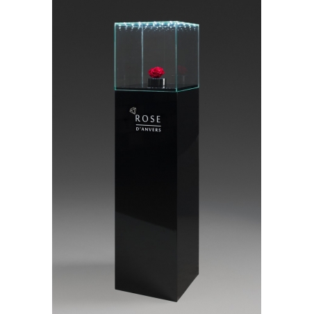 Vitrine en verre LED intégré
