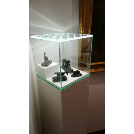 Vitrine en verre LED intégré