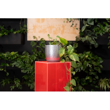 Socle plexiglas