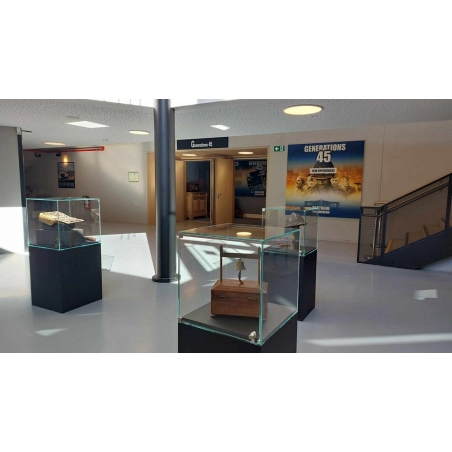 Vitrine cloche avec porte
