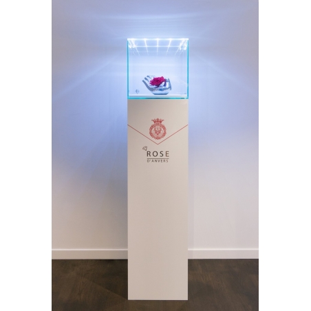 Vitrine en verre LED intégré