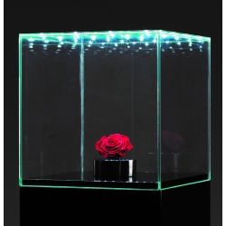 Vitrine en verre LED intégré