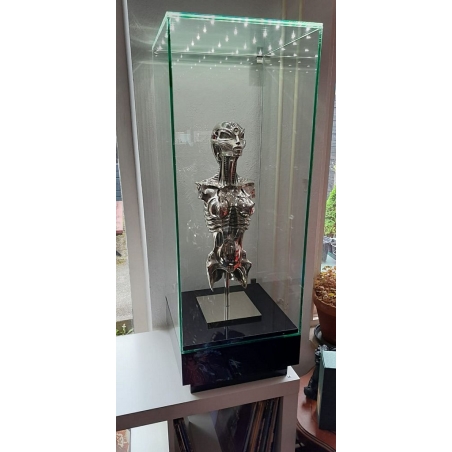 Vitrine en verre LED intégré
