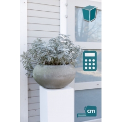 Socle solits extérieur - blanc