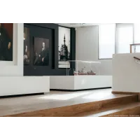 Vitrine cloche plexi